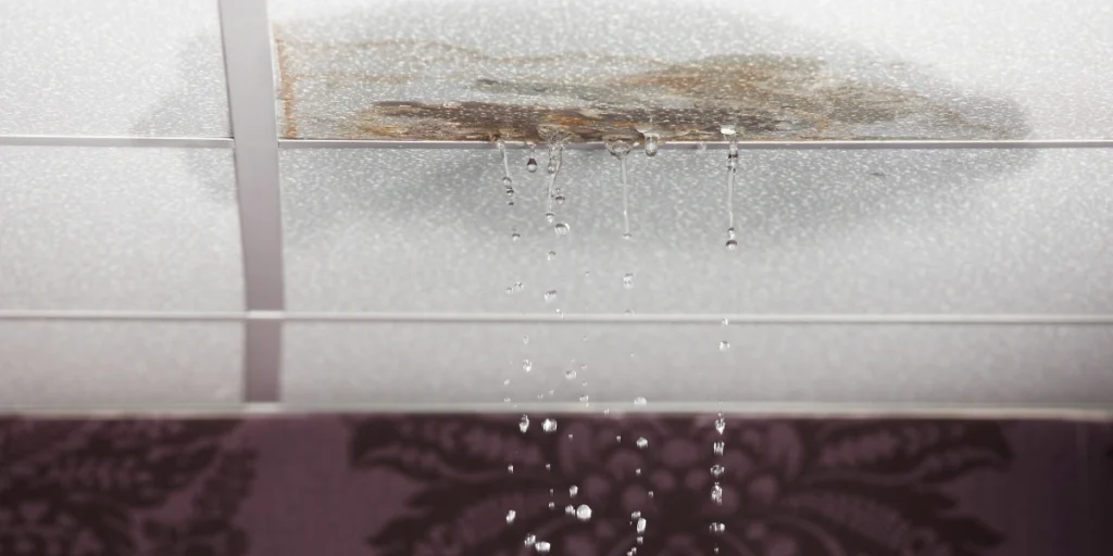 shower leaking behind wall